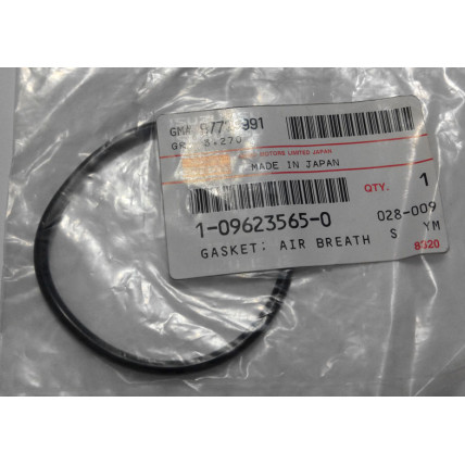 Pipe Gasket Isuzu 1096235650 Genuine