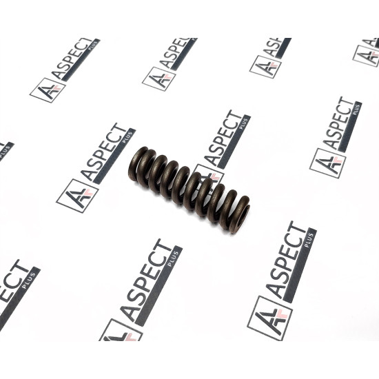 Spring for Center Pin Bosch Rexroth R909921782 HANDOK
