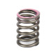 Valve Spring Isuzu 8942525361 Genuine