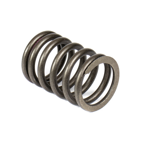 Valve Spring Isuzu 8942525361 Genuine