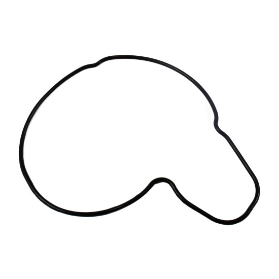 Water Pump Gasket Isuzu 8941780811 Genuine Water Pump Gasket Isuzu 8941780811 Genuine
