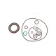 Seal kit pump Bosch Rexroth R902002484 SKS