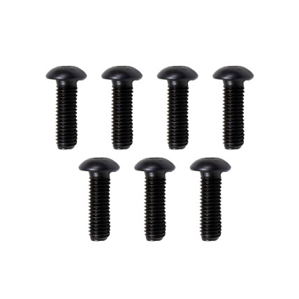 Screw Bosch Rexroth R902602493 L=16.0 mm SKS