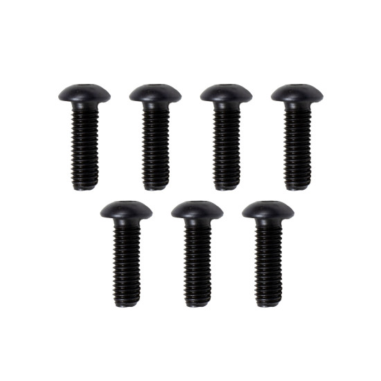 Screw Bosch Rexroth R902602493 L=16.0 mm SKS
