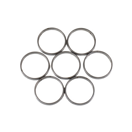 Piston Ring Bosch Rexroth A7VO80, A8VO80, A6VM80, A6VE80, A7VTO80 SKS