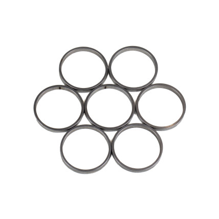 Piston Ring Bosch Rexroth R909831896 SKS