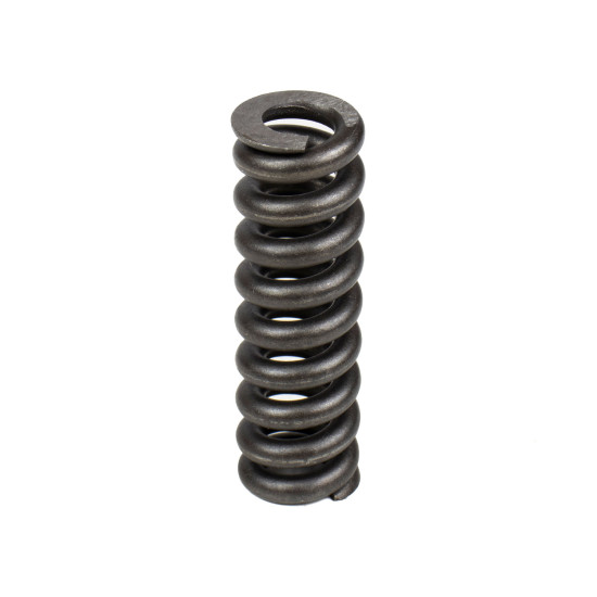 Spring for Center Pin Bosch Rexroth R909921583 SKS
