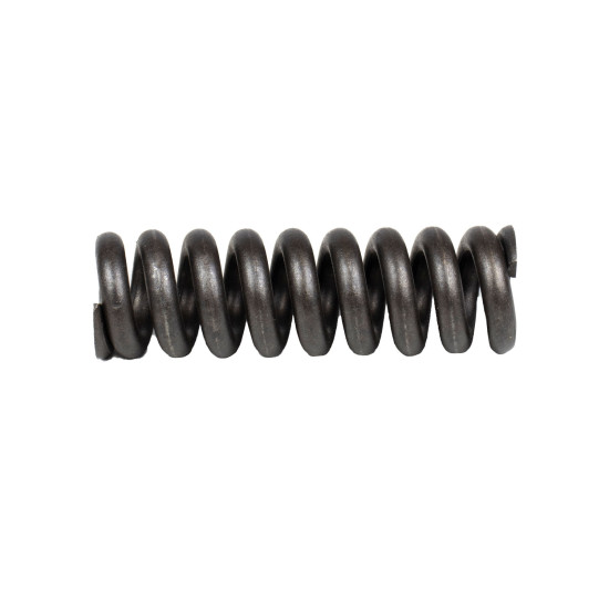Spring for Center Pin Bosch Rexroth R909921583 SKS