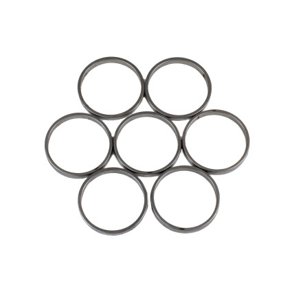 Piston Ring Bosch Rexroth R909831897 SKS