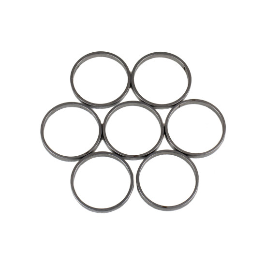 Piston Ring Bosch Rexroth R909831897 SKS