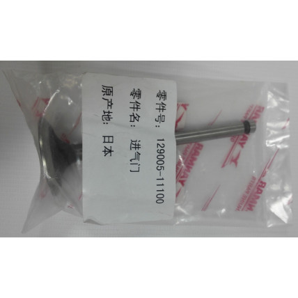 Inlet Valve Yanmar 129004-11130 YANMAR