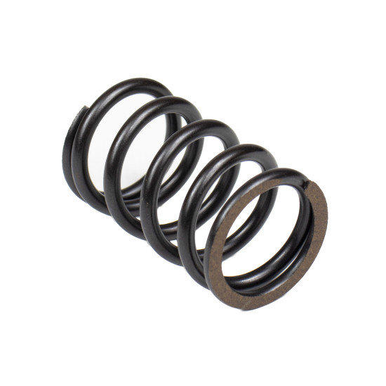 Spring of Rotor Bosch Rexroth R910933409 SKS