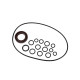 Kit de juntas Bosch Rexroth R910941171 SKS
