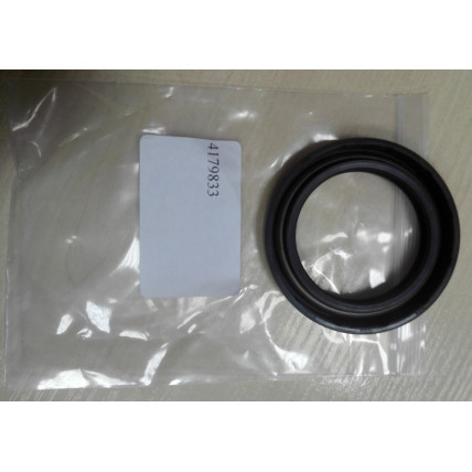 Shaft Seal Hitachi 4179833 AFM