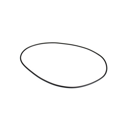 O-Ring ZGAQ-01269 AFM