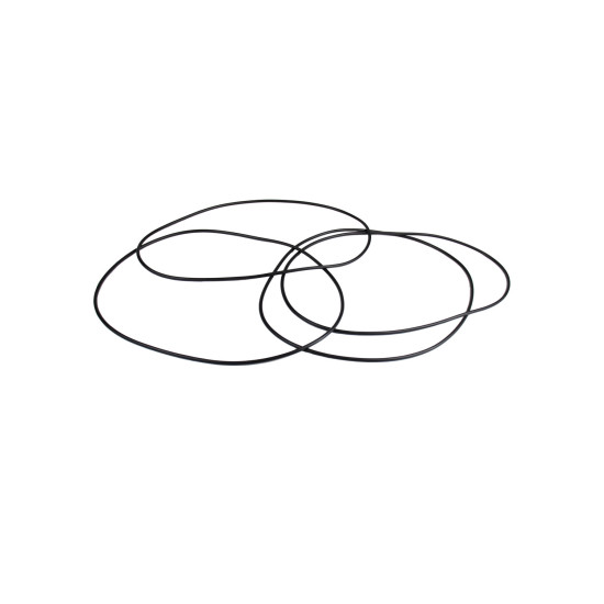 O-Ring ZGAQ-01269 AFM