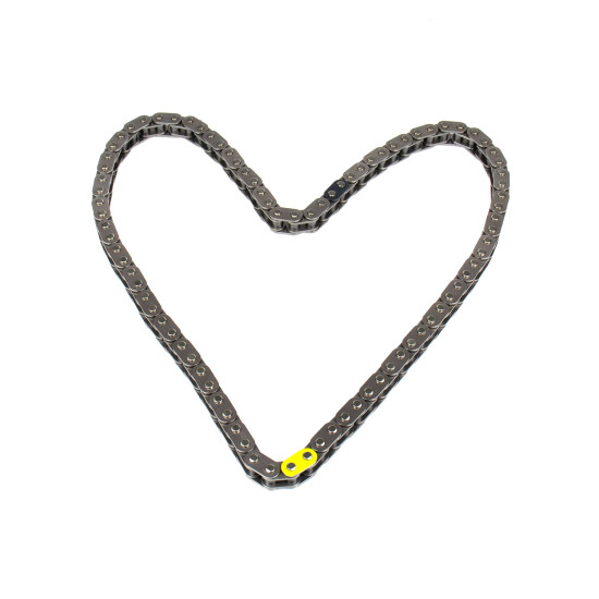 Camshaft timing chain Isuzu 8979450670 Genuine