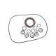 Seal kit pump Bosch Rexroth R910941170 SKS