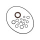 Seal kit pump Bosch Rexroth R910915845 SKS