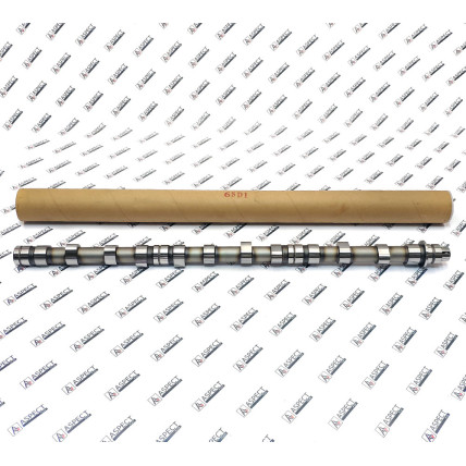 Camshaft Isuzu 1125112491 AFM