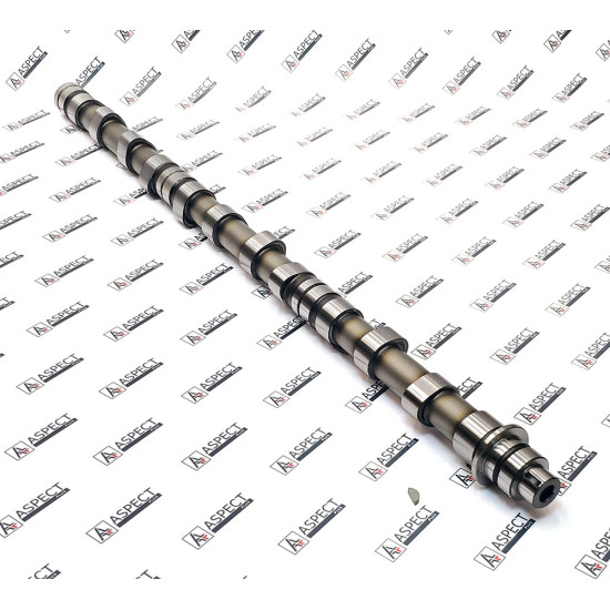 Camshaft Isuzu 1125112491 AFM