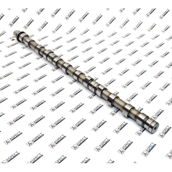 Camshaft Isuzu 1125112491 AFM
