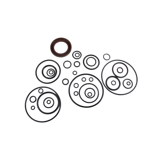 Seal kit pump Uchida AP2D36, LV3R, AP2D38 SKS