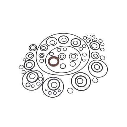 Kit de juntas Uchida AP2D25 SKS