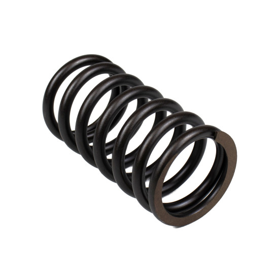 Spring of Rotor Bosch Rexroth R910720178 SKS