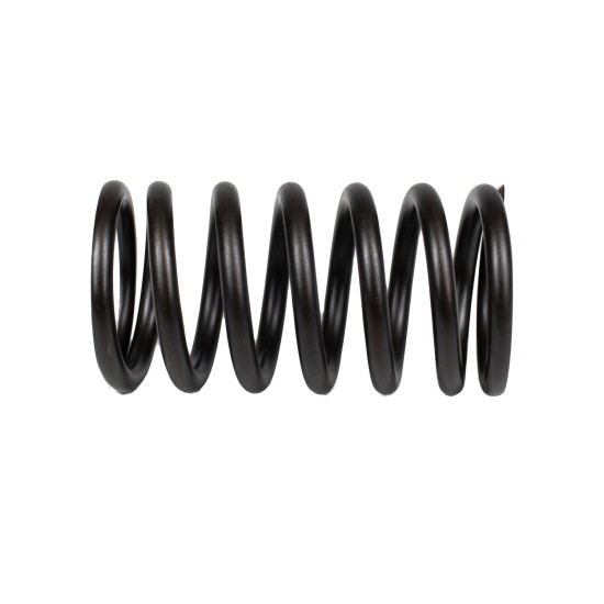 Spring of Rotor Bosch Rexroth R910720178 SKS