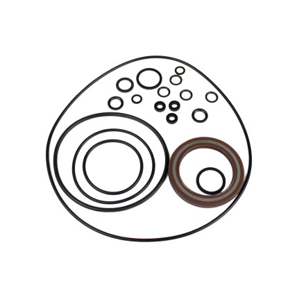 Seal kit pump Bosch Rexroth R902095606 SKS