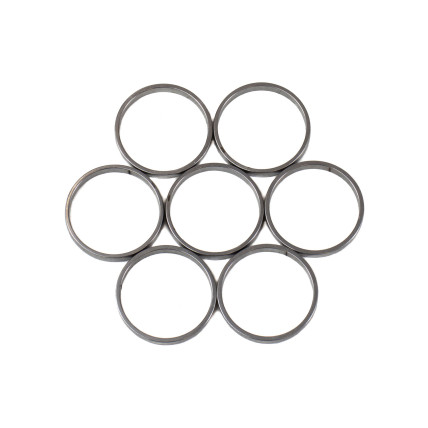 Piston Ring Bosch Rexroth R909831895 SKS