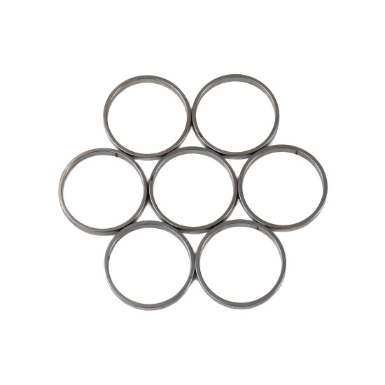 Piston Ring Bosch Rexroth R909831895 SKS