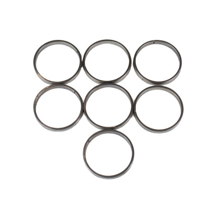 Piston Ring Bosch Rexroth R909831898 SKS