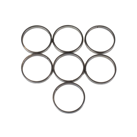 Piston Ring Bosch Rexroth R909831898 SKS Piston Ring Bosch Rexroth R909831898 SKS