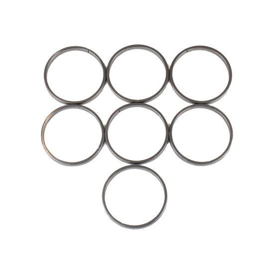 Piston Ring Bosch Rexroth A7VO250, A6VM250, A2FO250, A2FM250 SKS