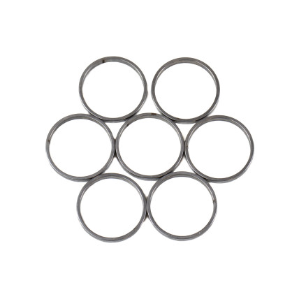 Piston Ring Bosch Rexroth R909831890 SKS