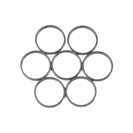 Piston Ring Bosch Rexroth R909831890 SKS