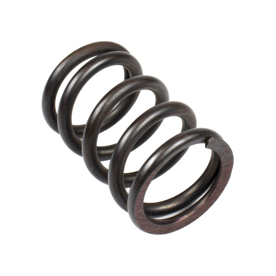 Spring of Rotor Linde 0009215205 SKS