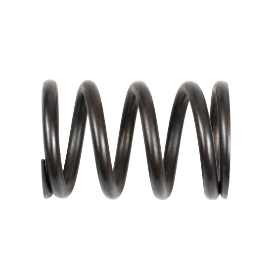 Spring of Rotor Linde 0009215205 SKS