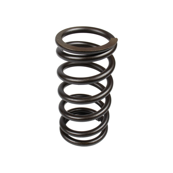 Spring of Rotor Sauer-danfoss PV90R130 SKS