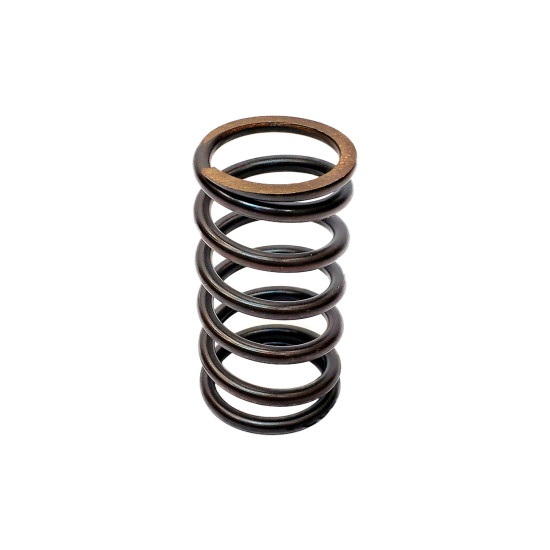 Spring of Rotor Sauer-danfoss PV90R55 SKS Spring of Rotor Sauer-danfoss PV90R55 SKS