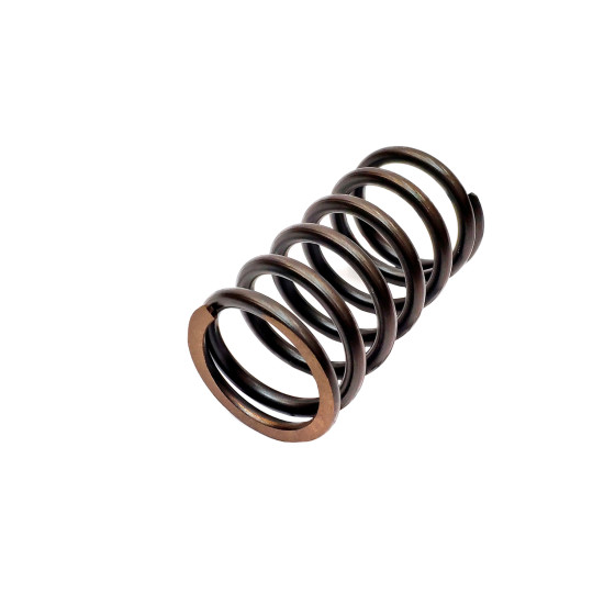 Spring of Rotor Sauer-danfoss PV90R55 SKS