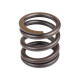 Spring of Rotor Linde 0009216003 SKS