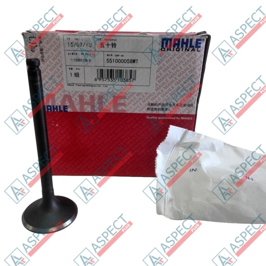 Inlet Valve Isuzu (1125511390) 4BD1, 4BG1, 4BC2 Hitachi, JCB Mahle