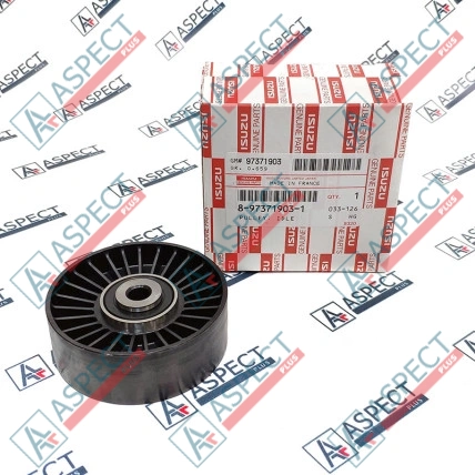 Rodillo de ralentí Isuzu (8973719031) Pieza OE