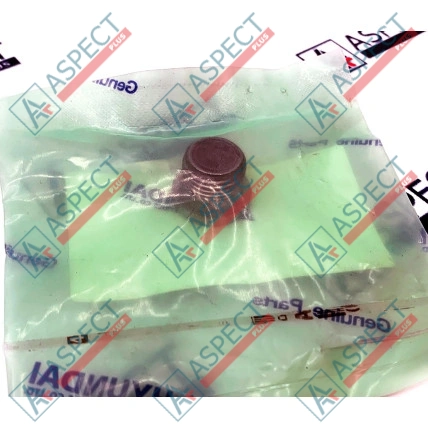 Stecker Hyundai (ZGAQ-00098) R170W-7 Originalteil