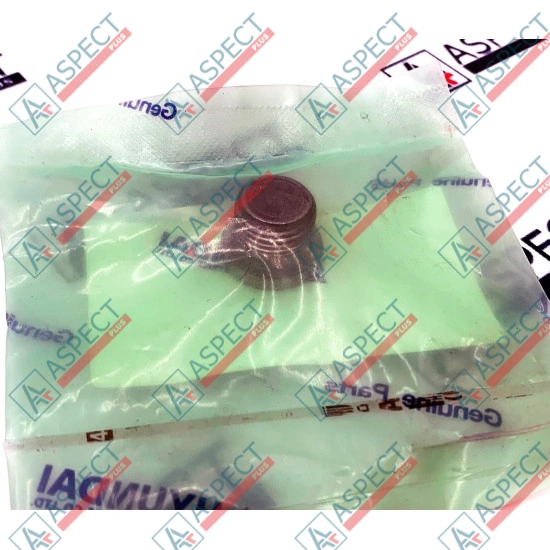 Plug Hyundai (ZGAQ-00098) R170W-7 Genuine