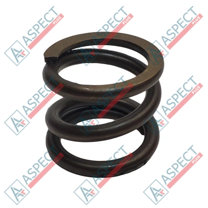 Feder des Rotors Bosch Rexroth R909436102 SKS