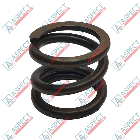 Spring of Rotor Bosch Rexroth R909436102 SKS